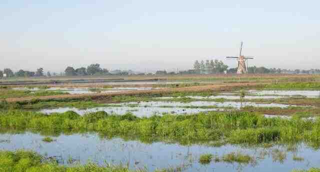 Zuid-Hollands Landschap Hooge boezem